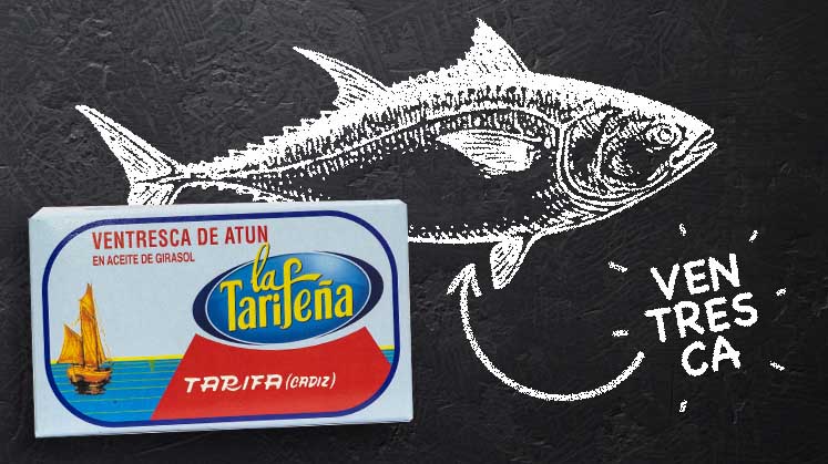 Ventresca de Atún Bauchfleisch